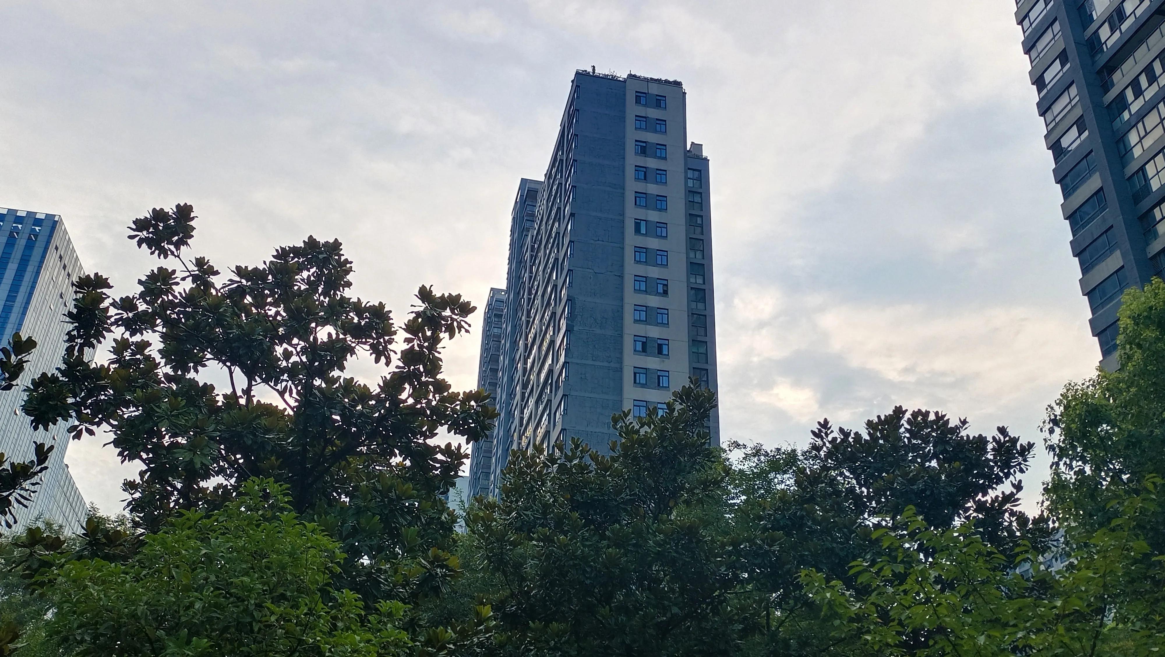 桂枝10克和白芍10克搭配的作用,桂枝防风白芍辛夷花菊花功效