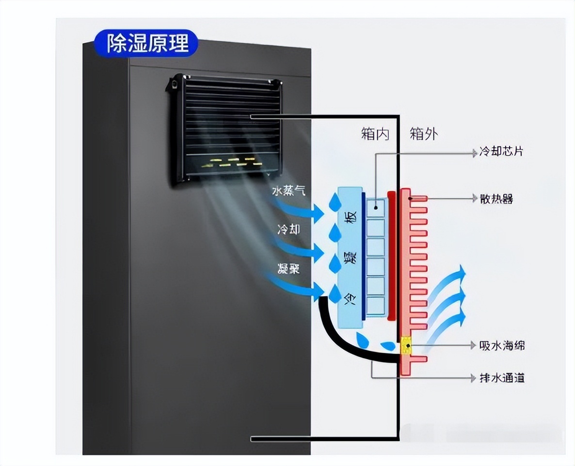 电子防潮箱哪个牌子好,电子相机防潮箱测评