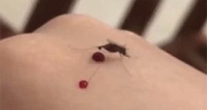 快乐源泉高能瞬间,快乐源泉8693