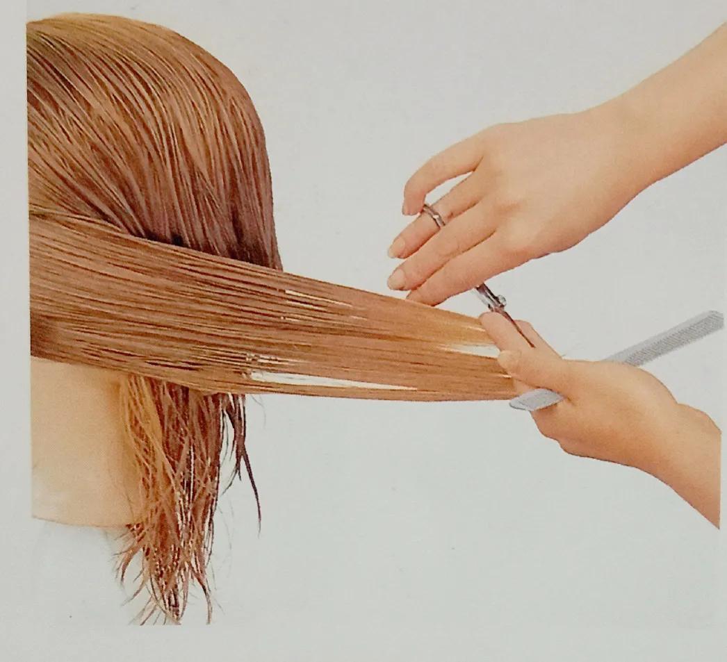 鏍囨淇壀,鏍囨缇庡彂娓愬灞傛