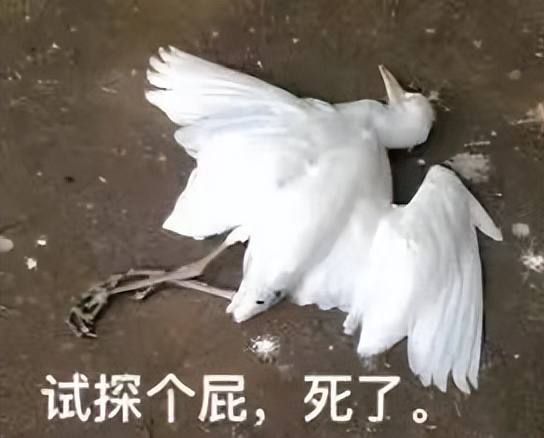 闵行区中考排名,2022闵行中考分数排名