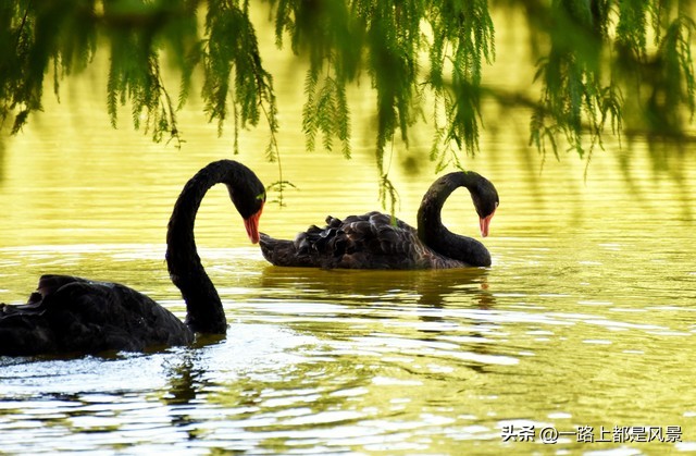 厦门旅游十大必去景点厦门大学,厦门南普陀寺厦门大学一日游路线