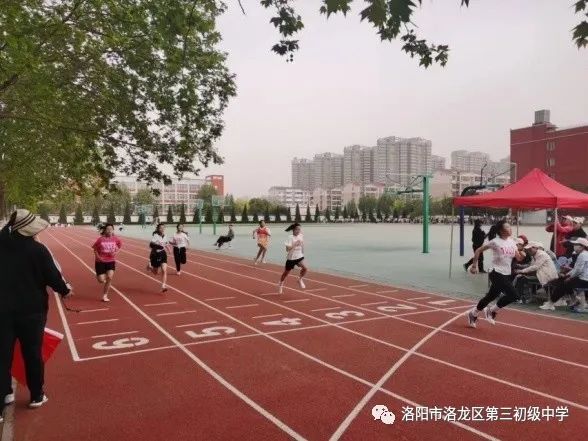 素质教育结硕果,素质教育特色学校创建实施方案