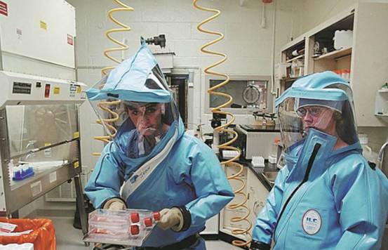 美国研究蝙蝠冠状病毒视频,美国研究蝙蝠状病毒