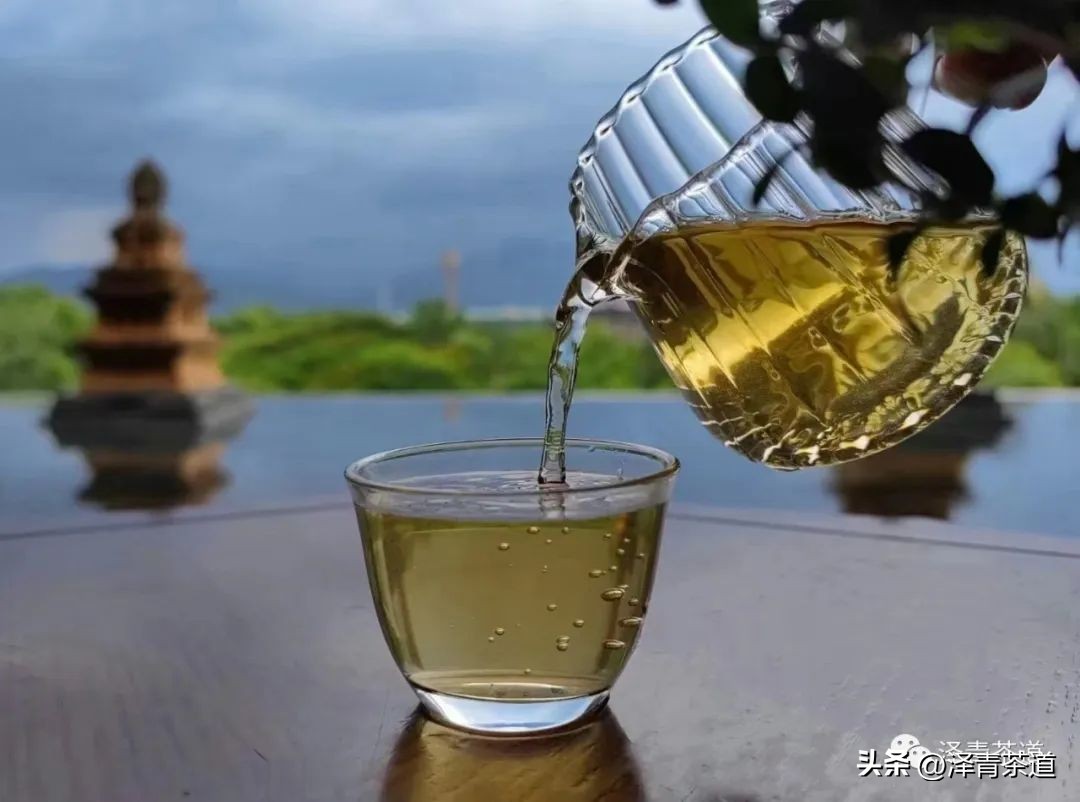 伏天喝什么养生茶最好喝,泡好一杯茶安享三伏天