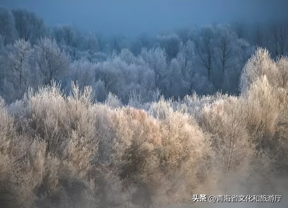 冬日的青海真的很美,青海的冬天美景