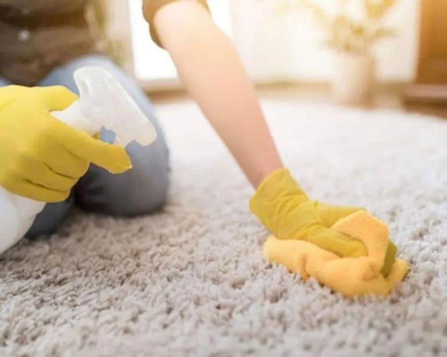 没有真正能去甲醛的方法该怎么办,生活中如何应对和避免甲醛污染