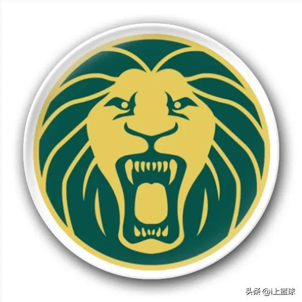 卡塔尔世界杯各队别称,卡塔尔世界杯上的奇葩名字