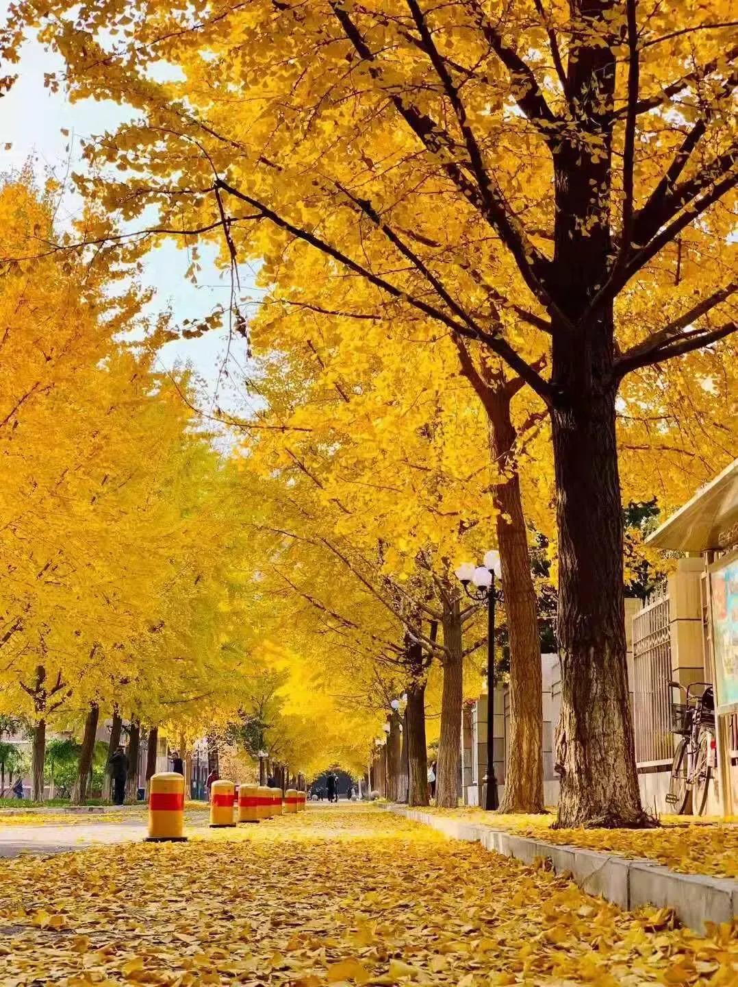 sothat和suchthat的用法区别,sothat和suchthat的用法与区别