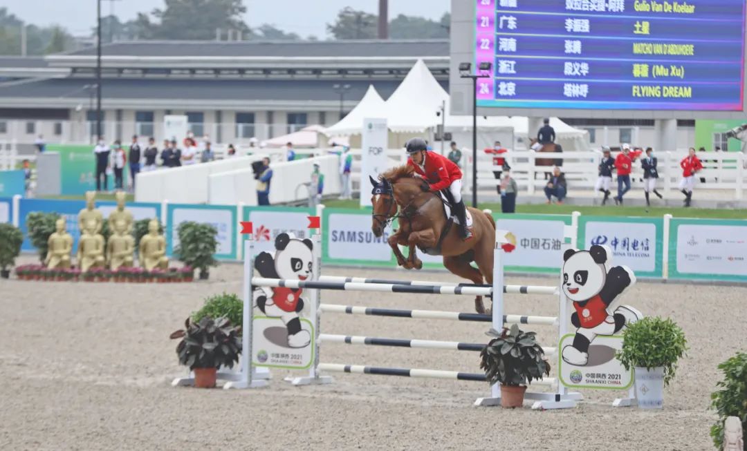 马术夏令营山东,马术夏令营深圳7天