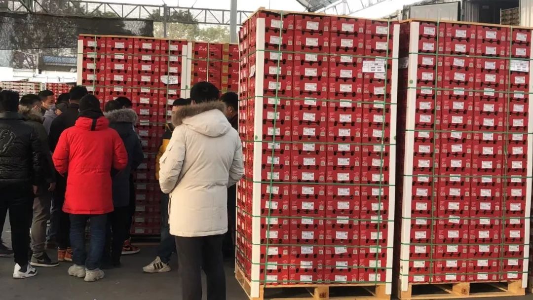 哪个国家能实现车厘子自由,在云南实现车厘子自由