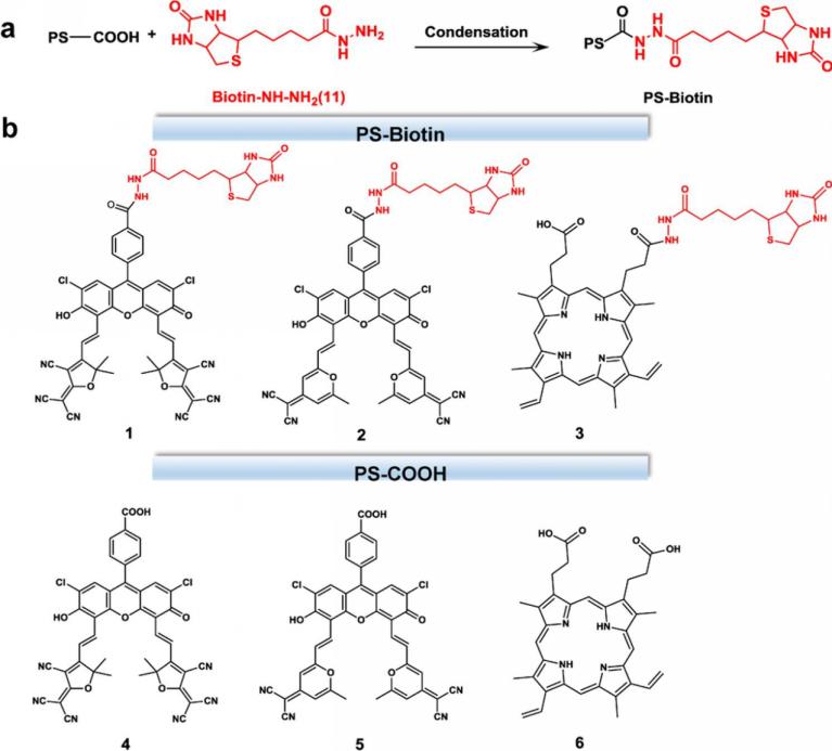 科学家发现癌症新突破,中国恶性肿瘤最新研究