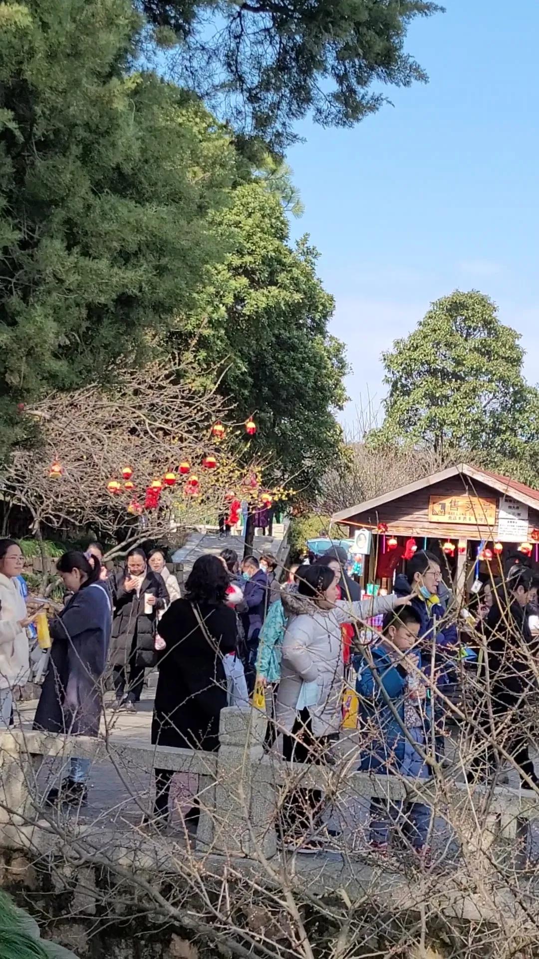 苏州赏梅景点图片,苏州东太湖赏梅攻略