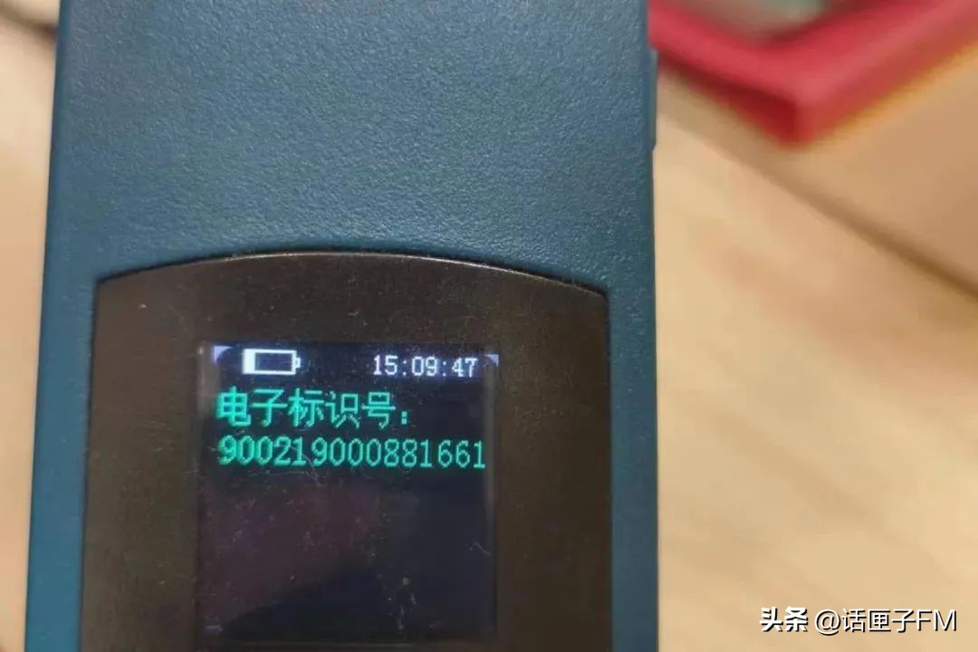 宠物走丢了有救助办法吗,宠物在宠物店走丢怎么办