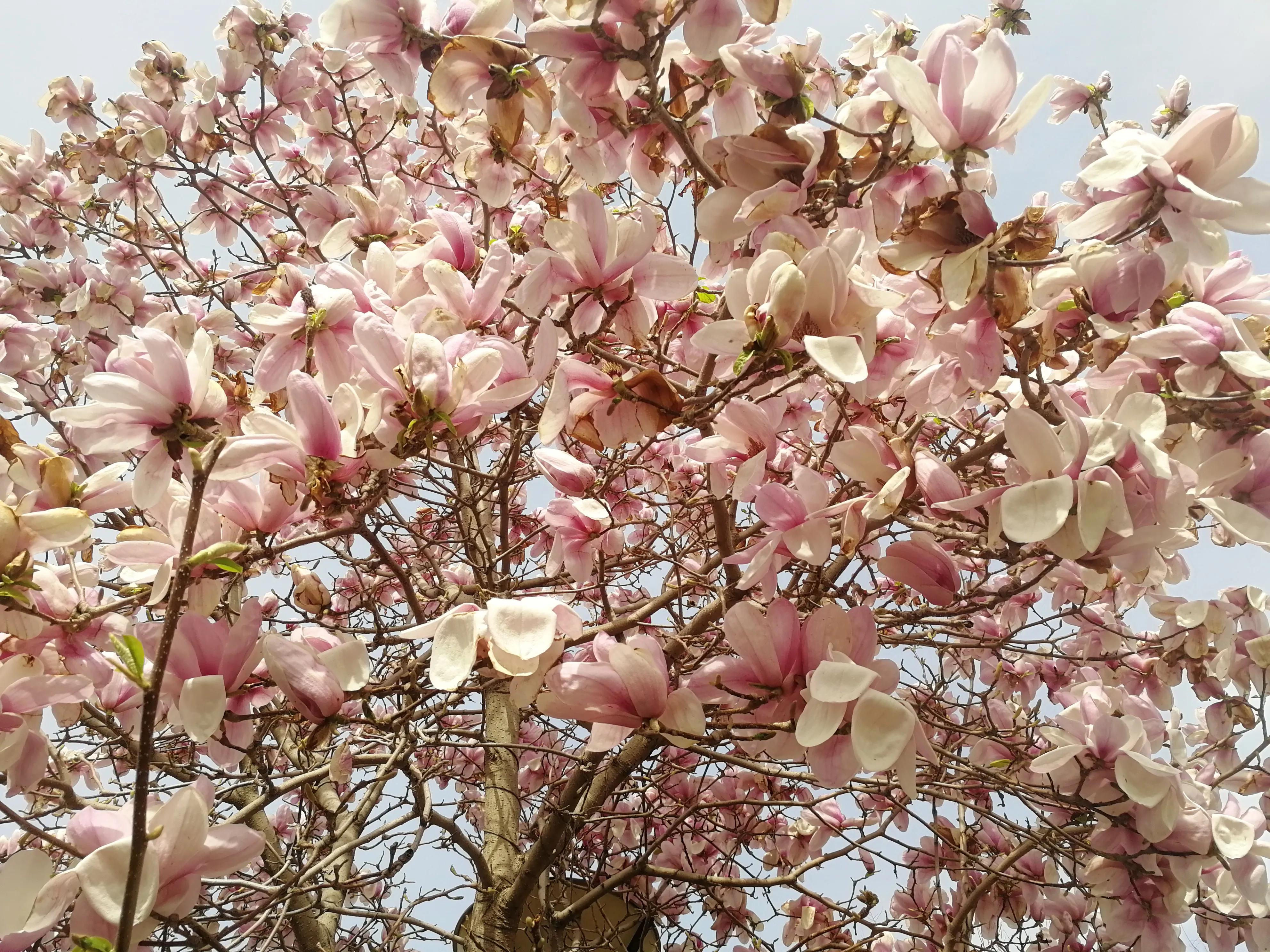 科二考试模拟三圈用多长时间,科二模拟练三天