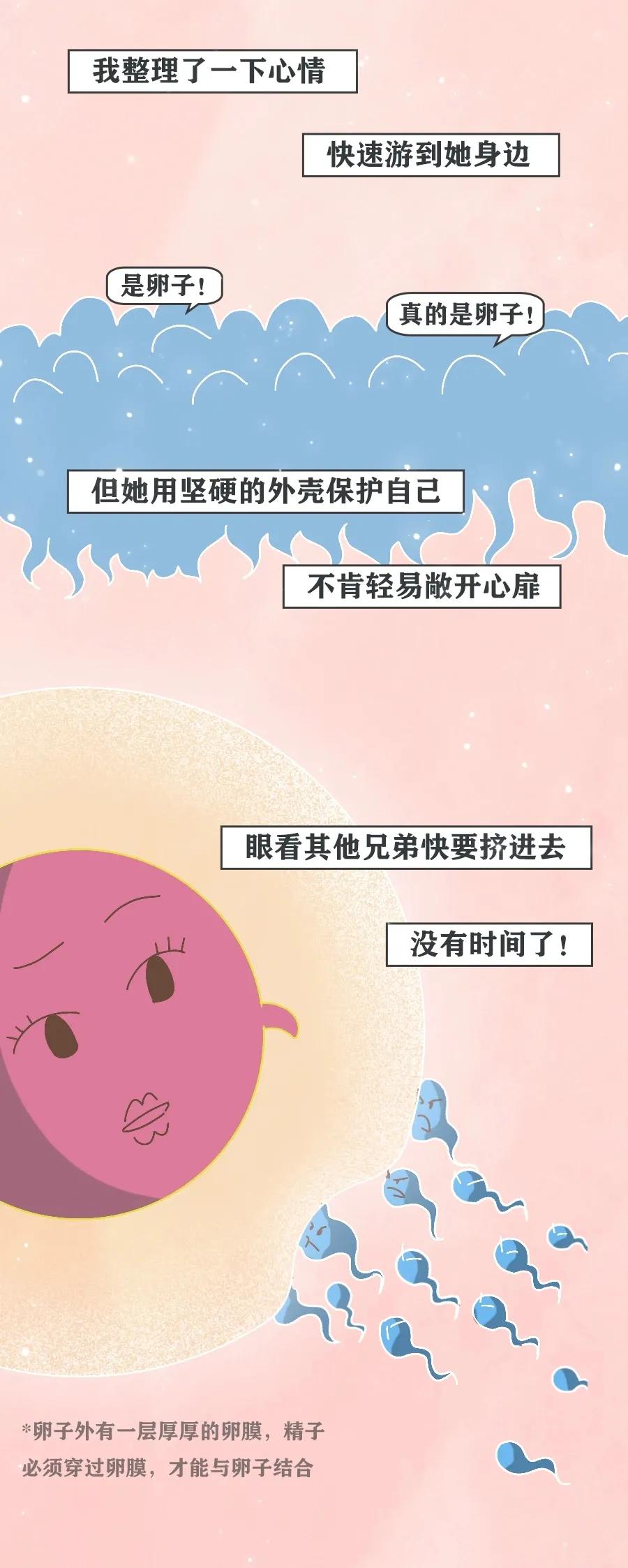 当精子进入女生体内后，会发生什么变化？不要羞于了解！