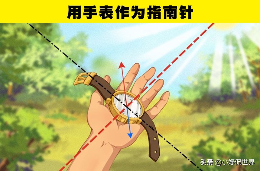 假如在野外迷了路你该怎么办,要是在野外迷了路怎样才能回家