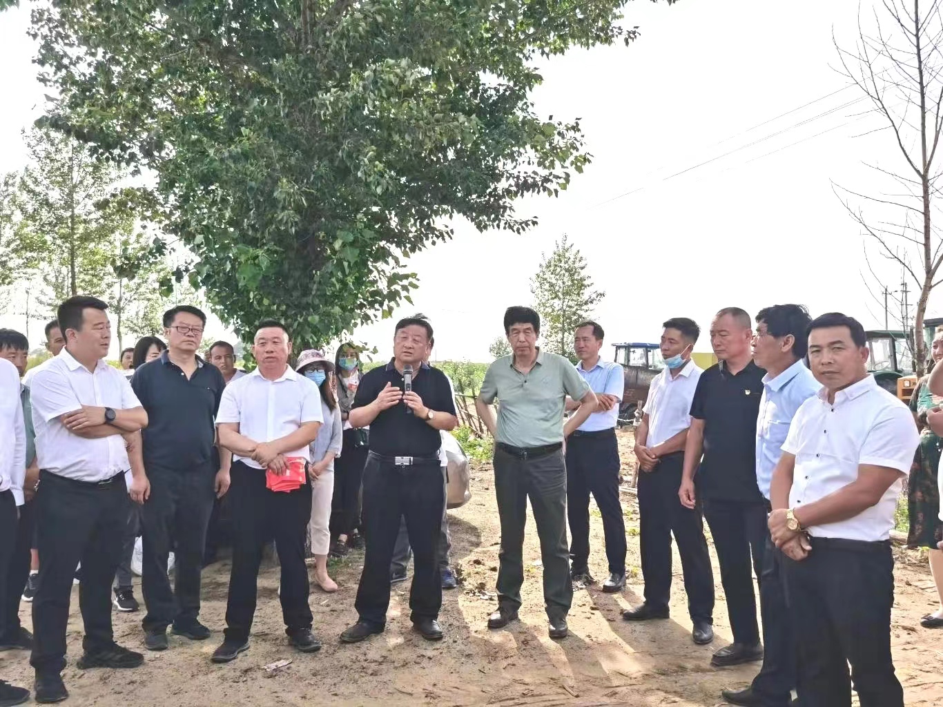 打造新型产业集群服务乡村振兴,做强主导产业助推乡村振兴