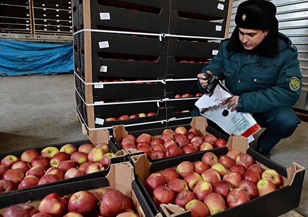 我在俄罗斯工作时候的中国同事,为了赚外快,偷偷帮人带*私走**物品