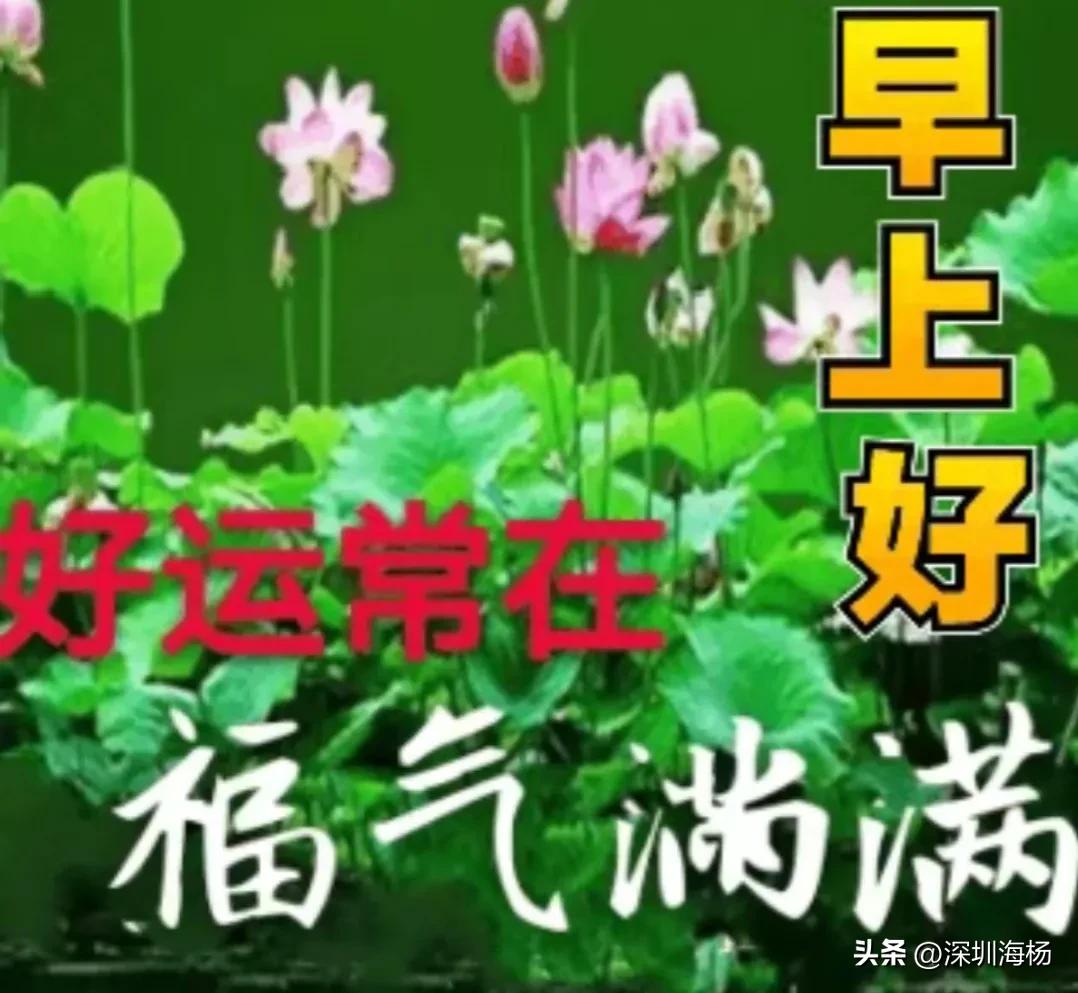 不能做一只在家躺平的猪,那就当一头生产队的驴吧