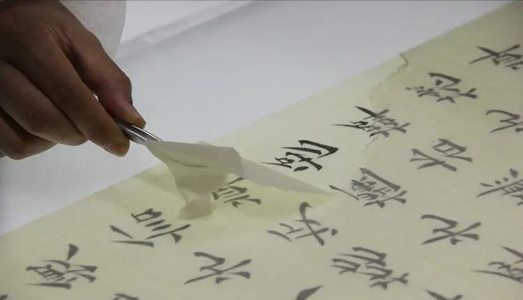 如何合理应对，*物文**的霉变生虫问题，是现阶段*物文**人员核心任务