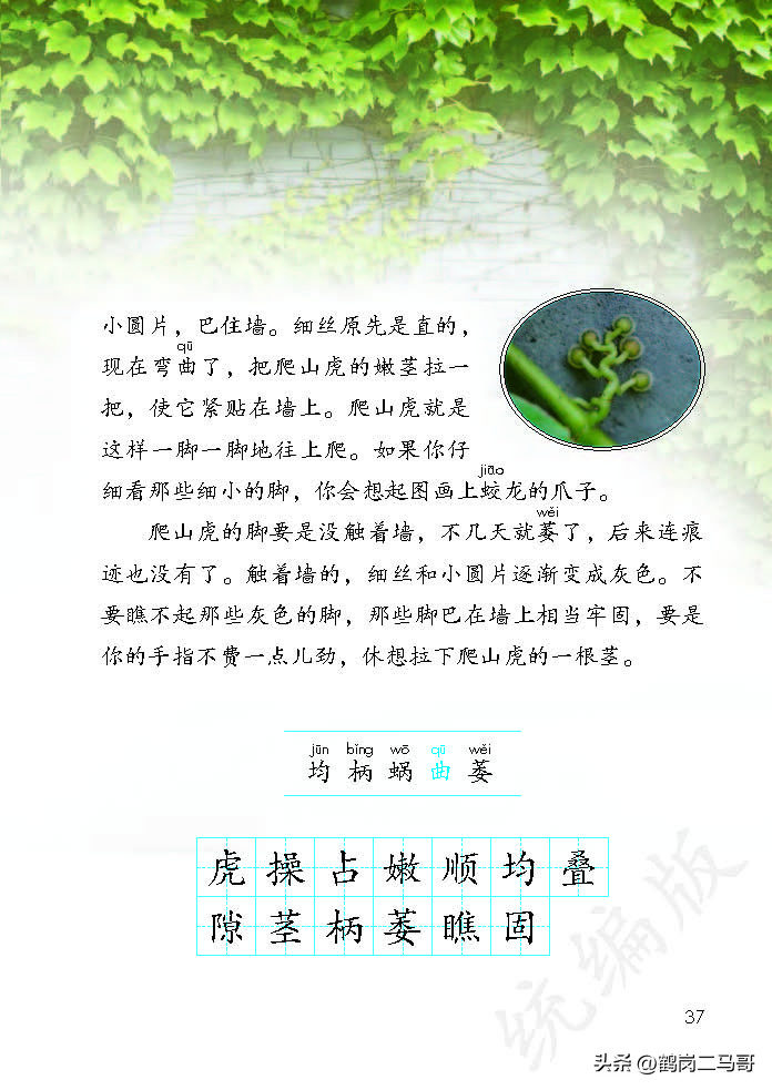 暑假预习资料小学,四年级下册语文课本第17课预习