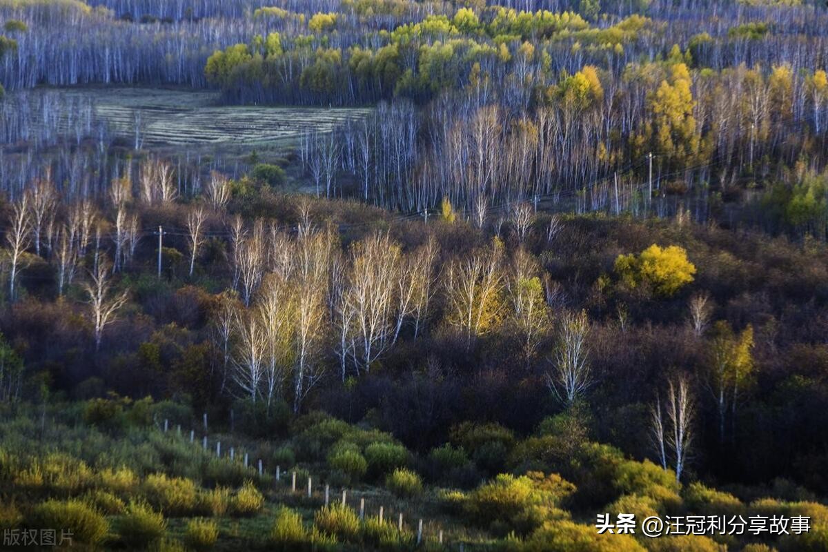 当仁不让的成语解释及意思,成语当仁不让是什么意思