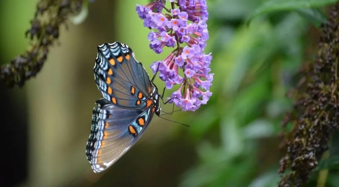 2020年近期完本小说推荐,2020书荒求质量完结小说推荐