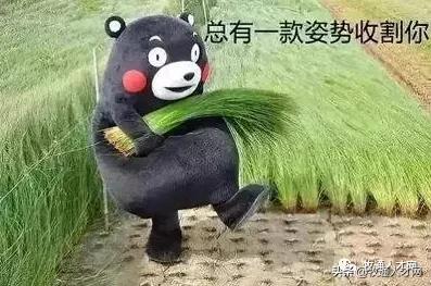 三个月不发工资的企业还有前途吗,3个月不发工资是老板没钱