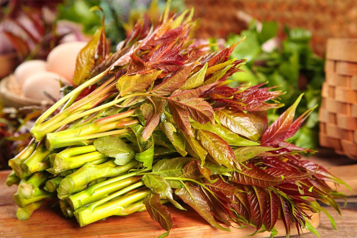 养肝护肝的药物和食物,养肝护肝的食物胡萝卜