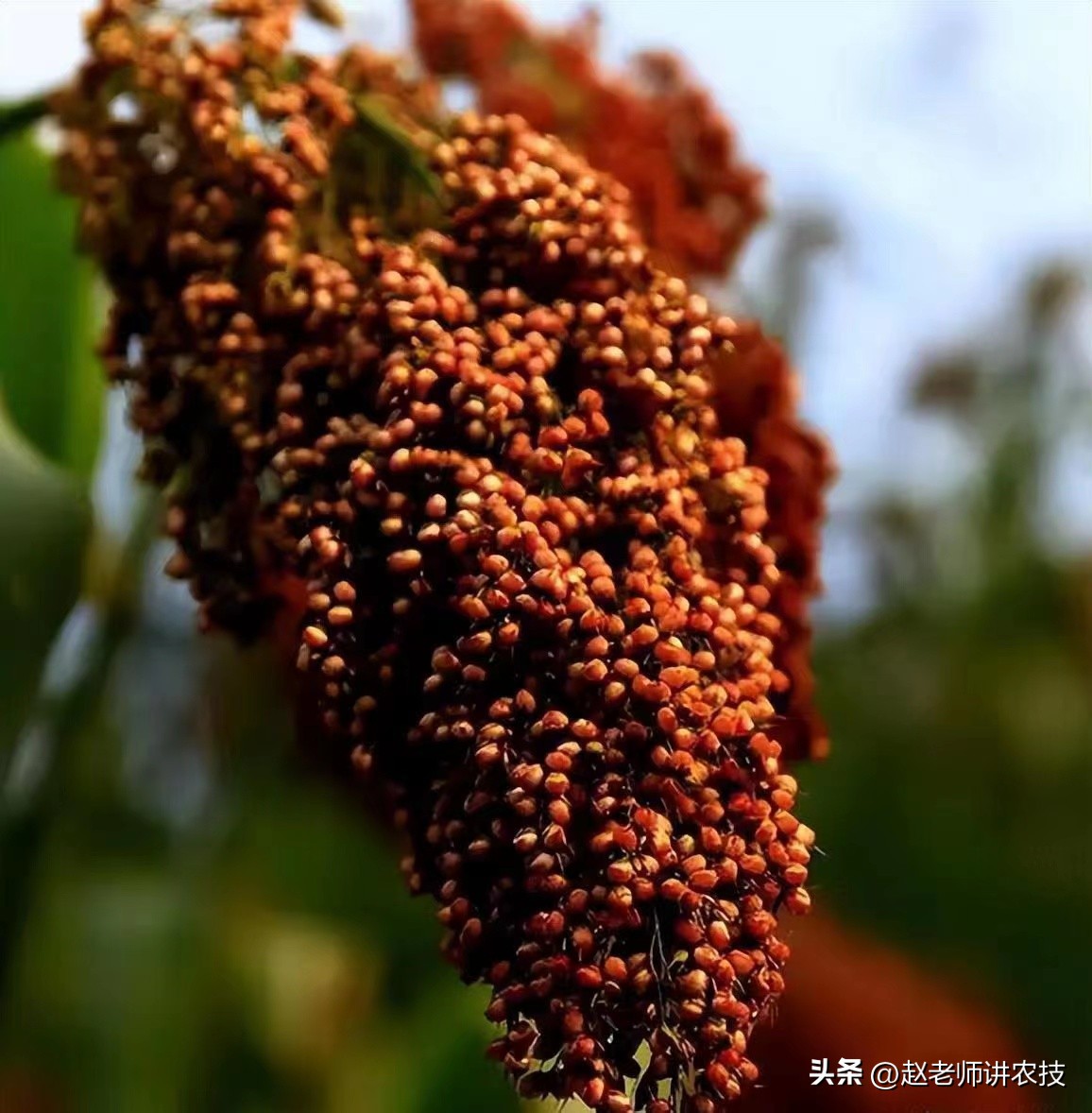 白酒放了十多年好喝吗,白酒有保质期吗一般能存放多久呢