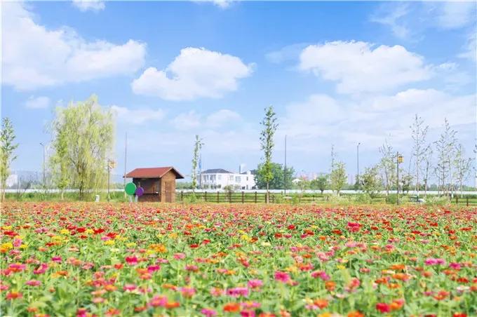 南京塑胶健身步道,南京市最美健身步道排名
