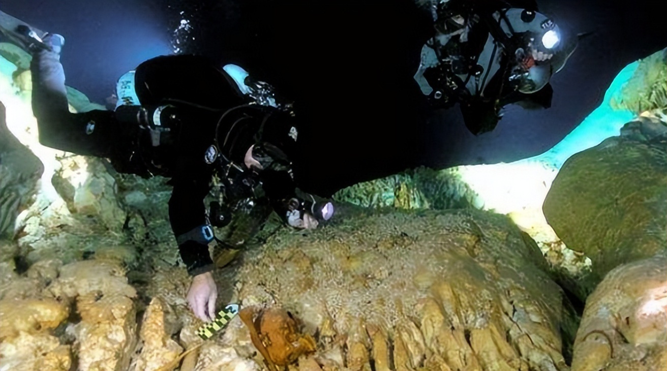 广东绿窟潭发现大量女性遗骨,广东绿窟潭发现10具女性骸骨