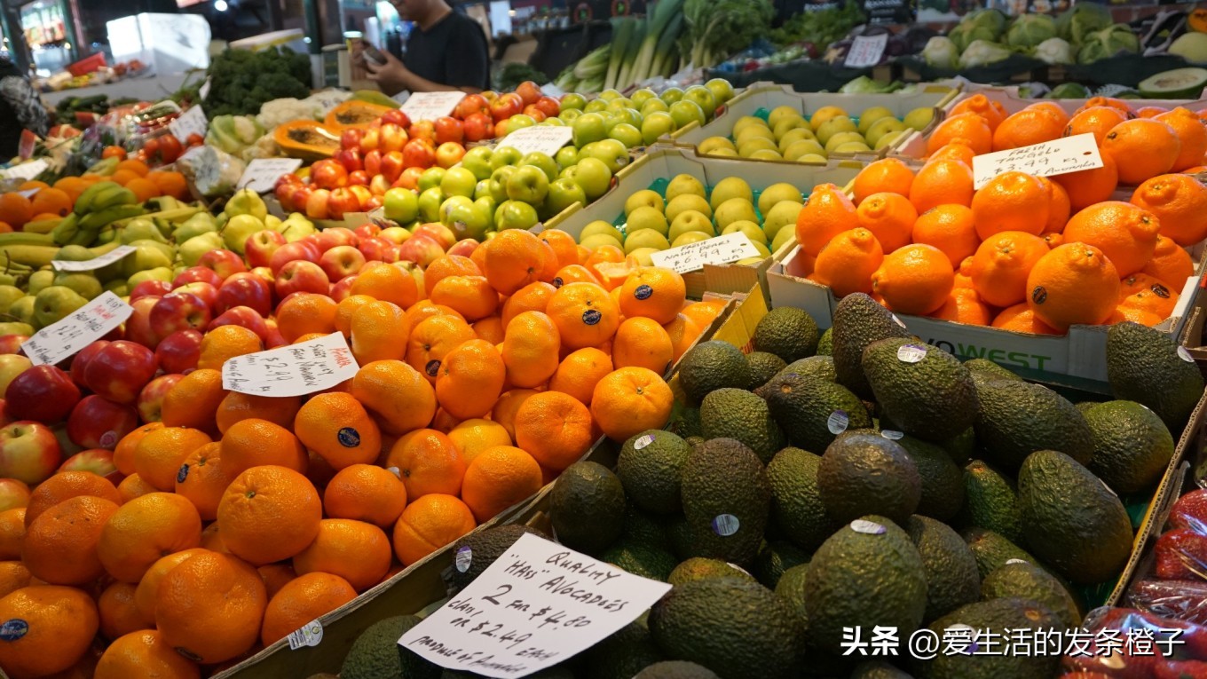 一路向北全程1980公里,西澳自驾游最佳路线图