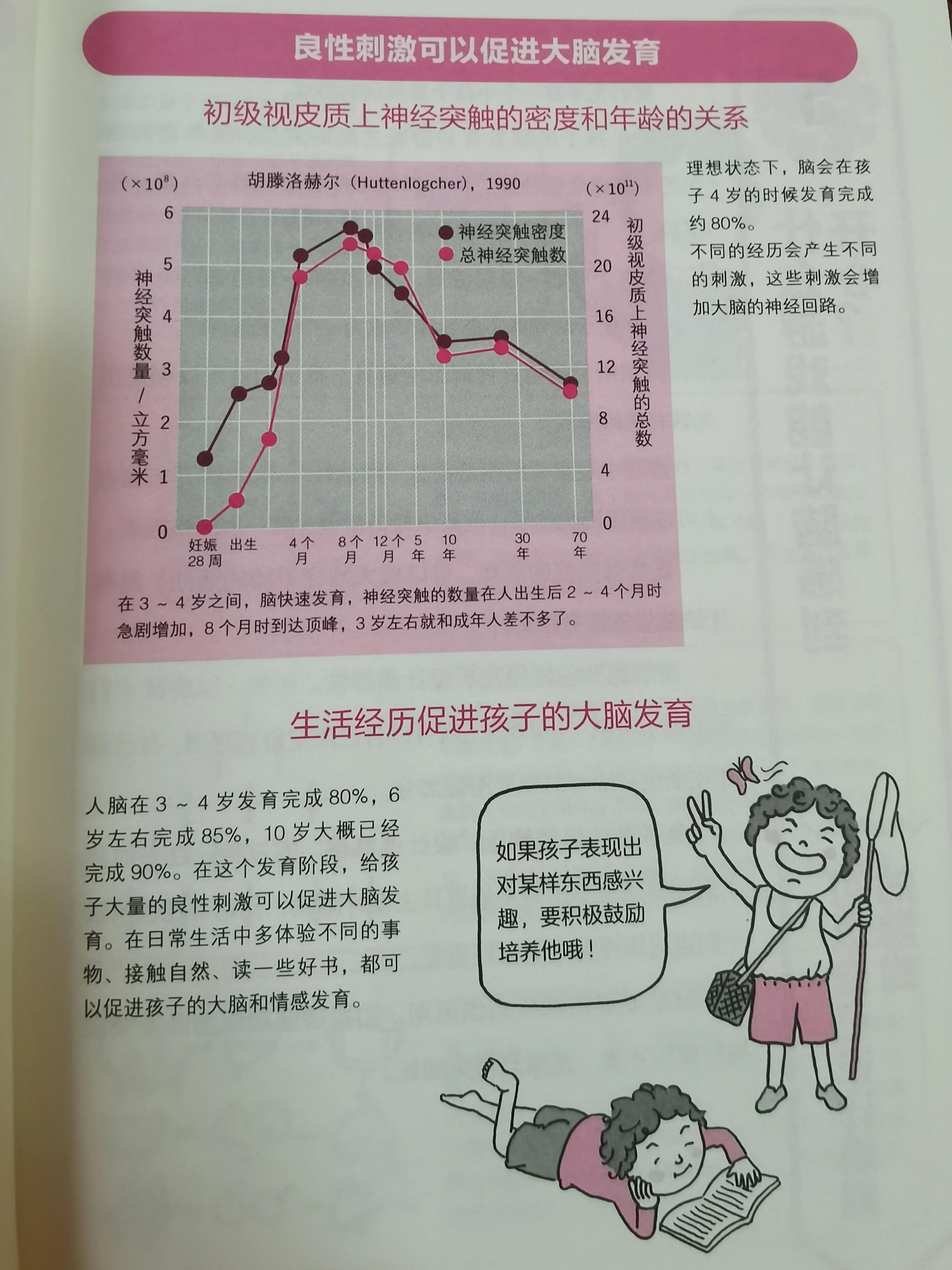 大脑说明书完整版,大脑操作手册