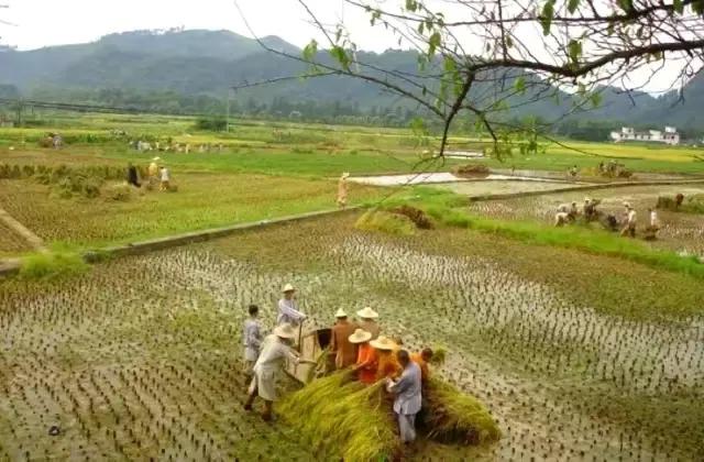 去当和尚的好处,出家的和尚是否会接触社会