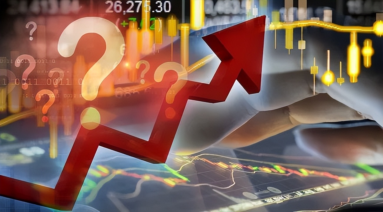 理财必学,最具成长性的大盘股