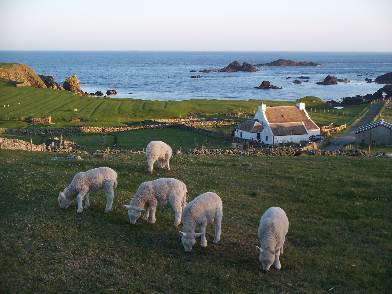 懂行的人为什么只买英国毛衣,英国毛衣