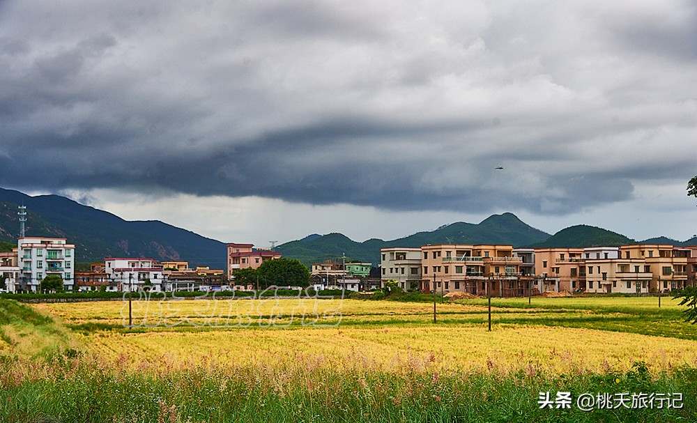 五一适合去哪旅游珠海海边,五一珠海旅游免费景点推荐