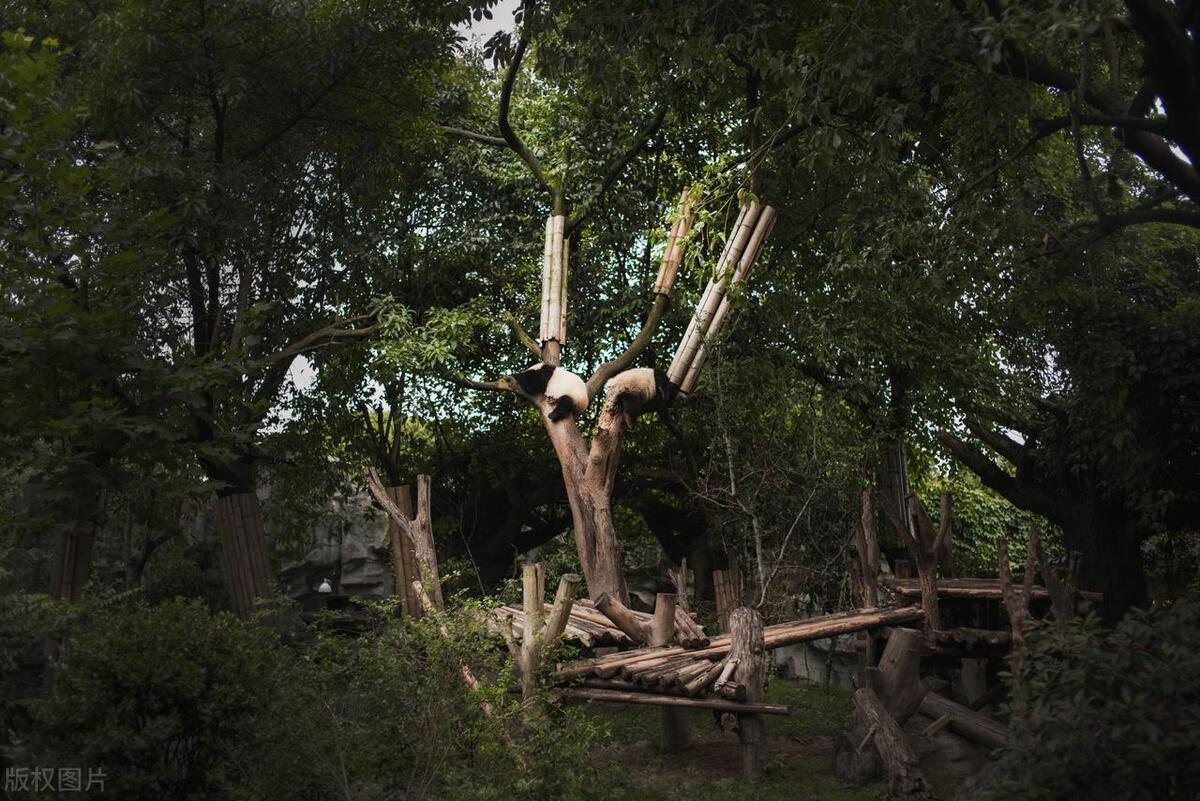 苏州旅游必去的地方和最佳路线,苏州旅游攻略必去十大景点有哪些