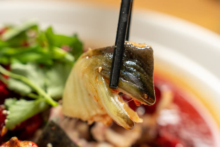 厦门海鲜鼓浪屿,厦门不仅好玩还有海鲜