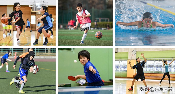 日本高等教育发展历程,日本国民教育解读