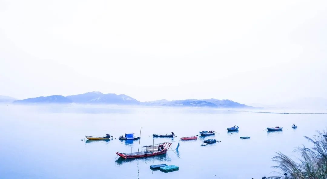 你几月出生就代表了你是什么命,几月出生的人是水命