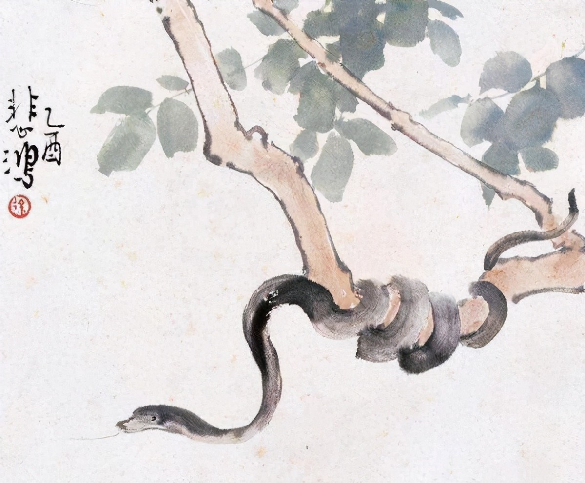 泰坦蟒是不是泰坦巨蛇,纪录片巨蛇之谜泰坦蟒