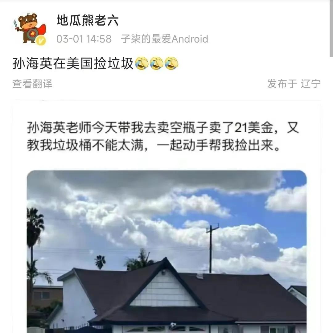 六十六岁的孙海峰在美国捡垃圾,孙海英事件捡垃圾