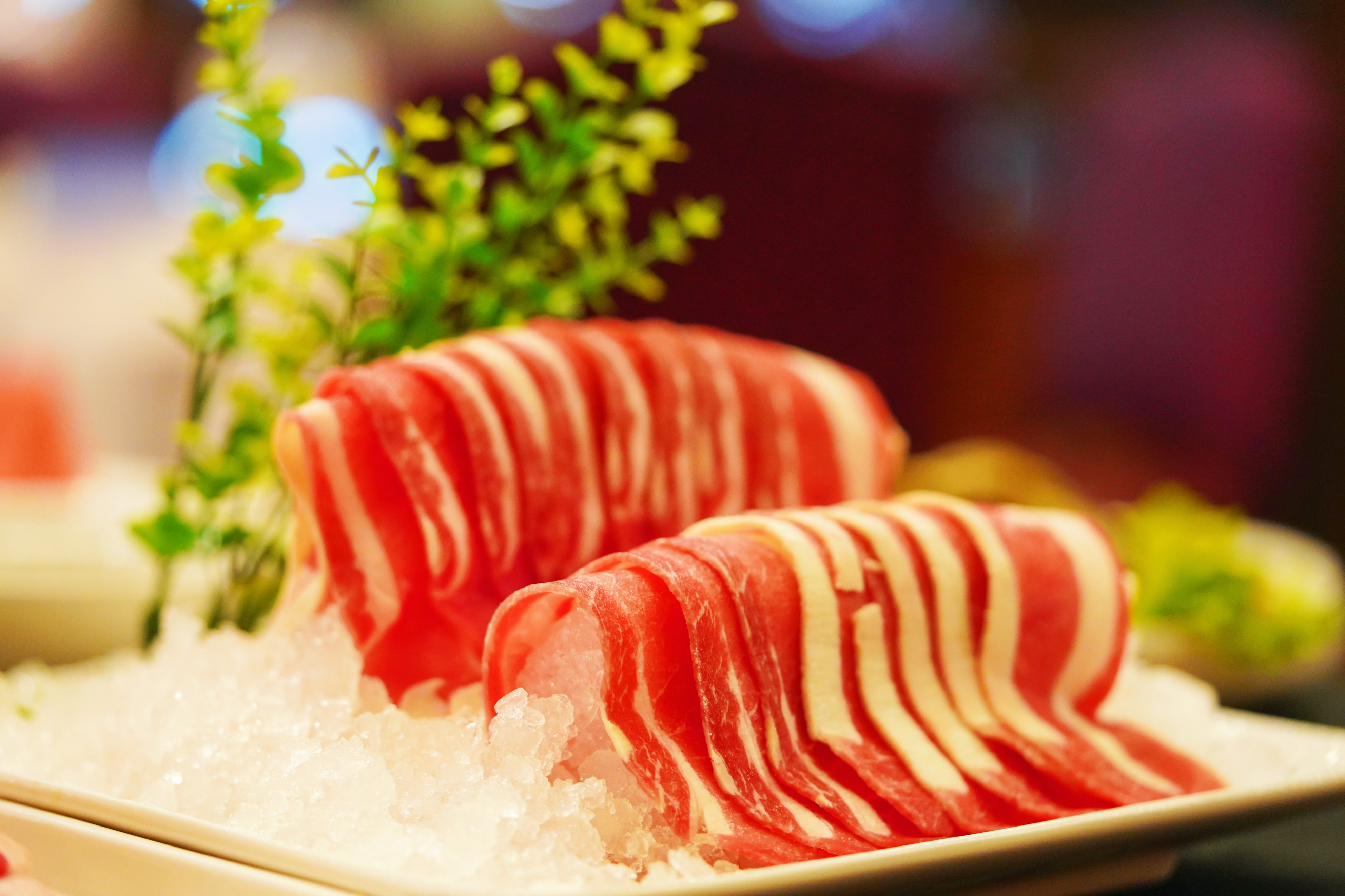 青城一日游自驾游最佳攻略,游青城前山的攻略