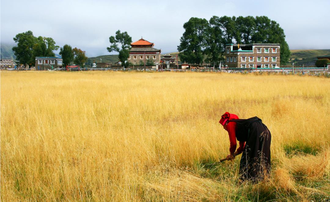 稻城亚丁啥时去最好,去稻城亚丁啥时候去最好