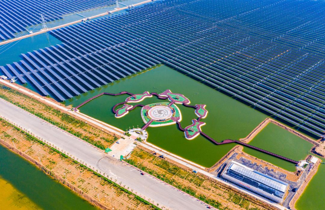 深度｜通威四十不惑：从胜利走向胜利