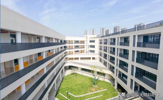 杭州中小学校长调整,杭州市教育系统新校长