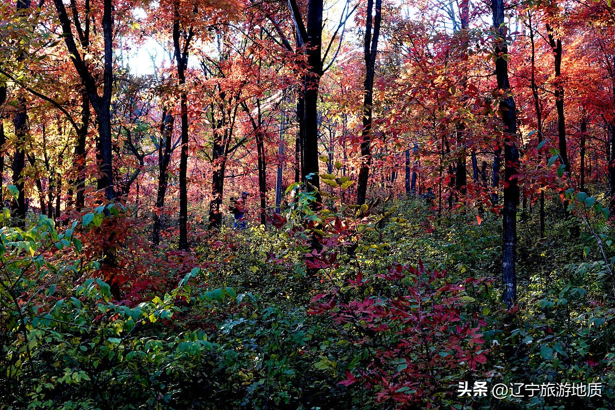 本溪这个村庄被上帝赐给了画家，藏着绝美景色，过去却是个土匪窝